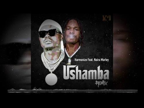 Harmonize Ft. Naira Marley – Ushamba (Remix)