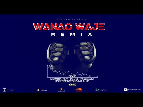 Stamina, MontDedee, Jacobeat, Mr blue, Moni Centrozone – Wanao Waje (Remix)