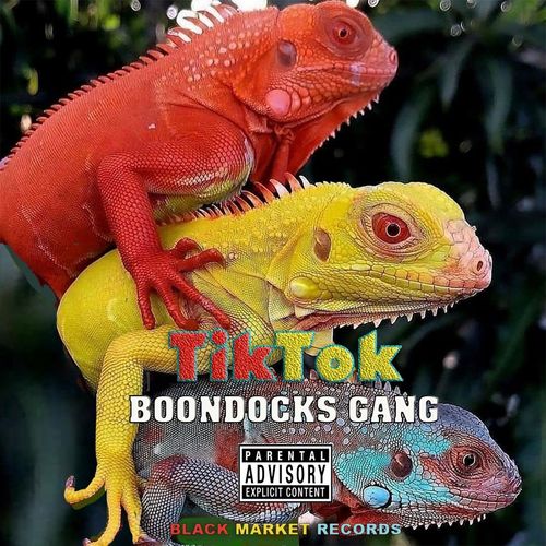 Boondocks Gang – TikTok