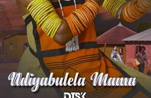 DJ SK – Ndiyabulela Mama Ft. Sean Pablo