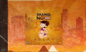 Aslay – Shangingi Mtoto