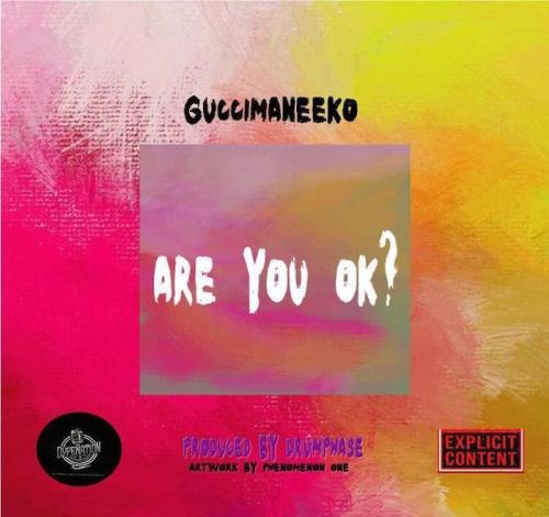 GucciManeEko – Are You Ok?
