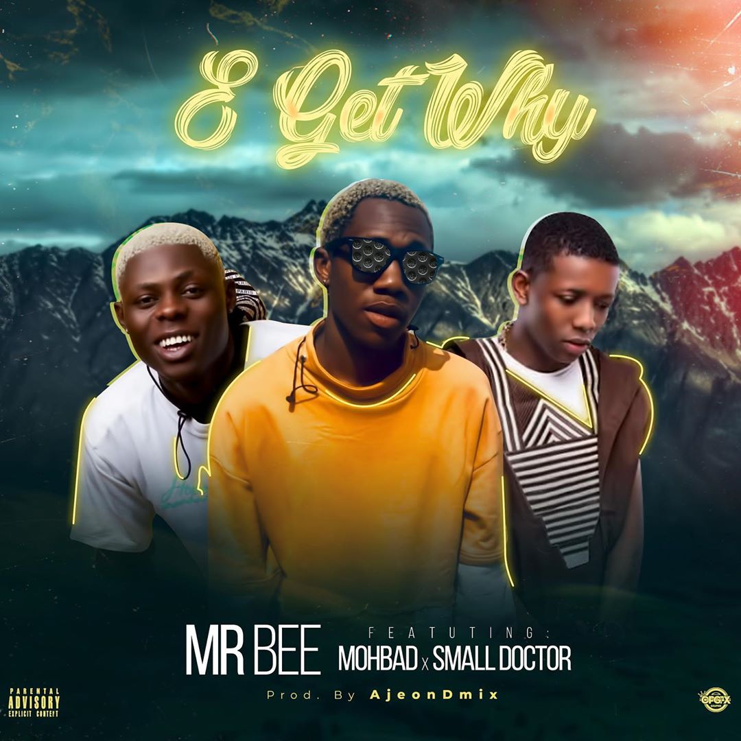 Mr Bee Ft. Mohbad & Small Doctor – E Get Why