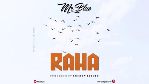Mr Blue – Raha