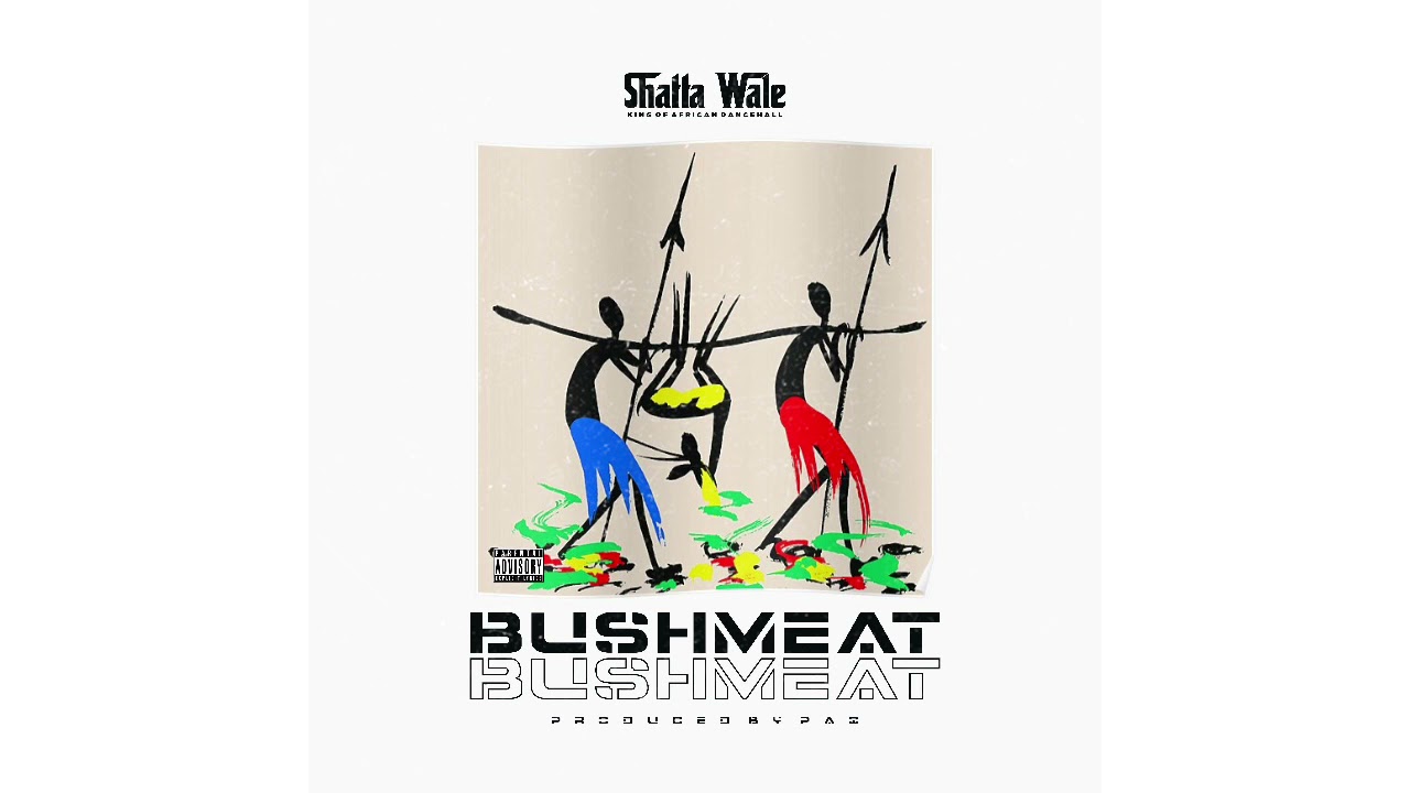 Shatta Wale – Bushmeat