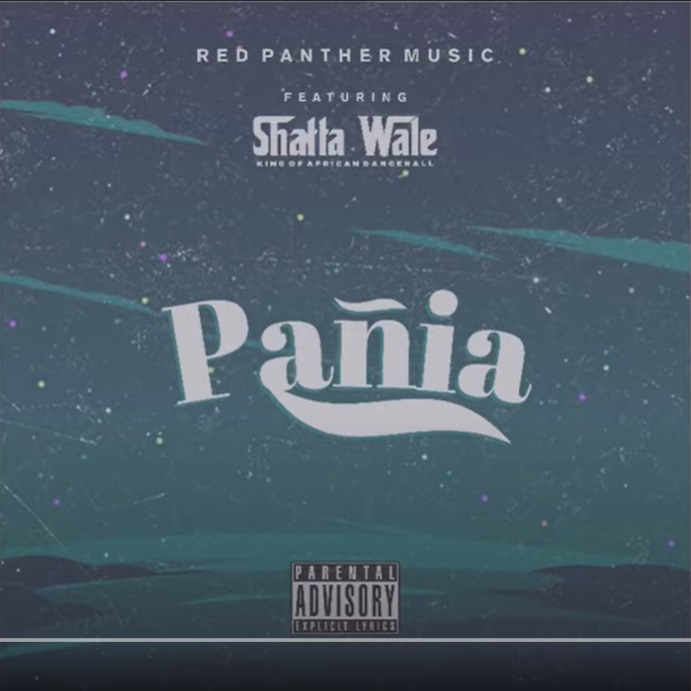 Shatta Wale – Panai