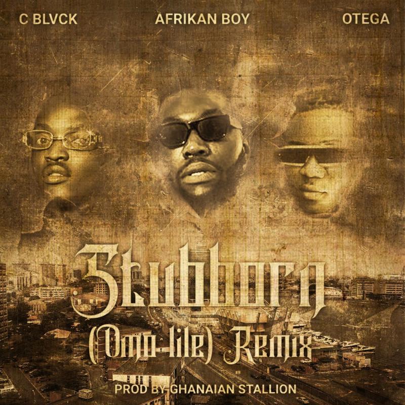 Afrikan Boy – Stubborn (Omo Lile) (Remix) Ft. C Blvck, Otega

