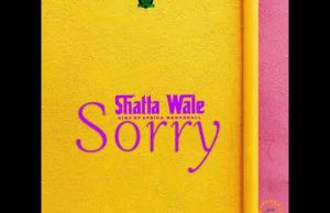 Shatta Wale – Sorry