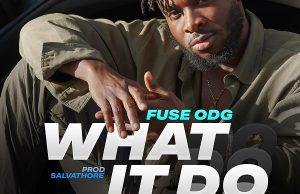 Fuse ODG – What It Do