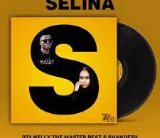Shandesh & Nelly The MasterBeat – Selina