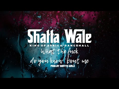 Shatta Wale – What the Fvck
